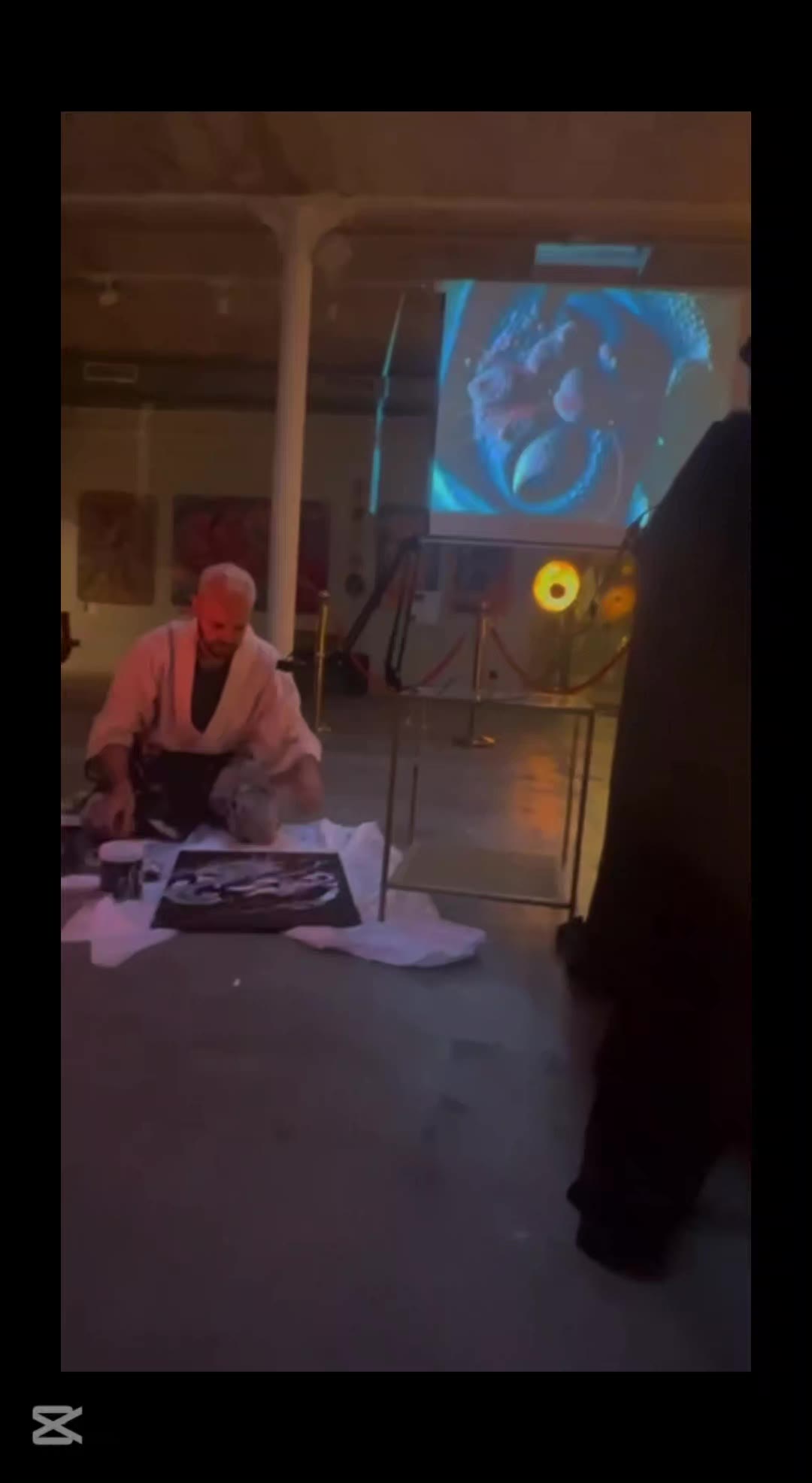 Documentation of the live performance at Palau Dalmases